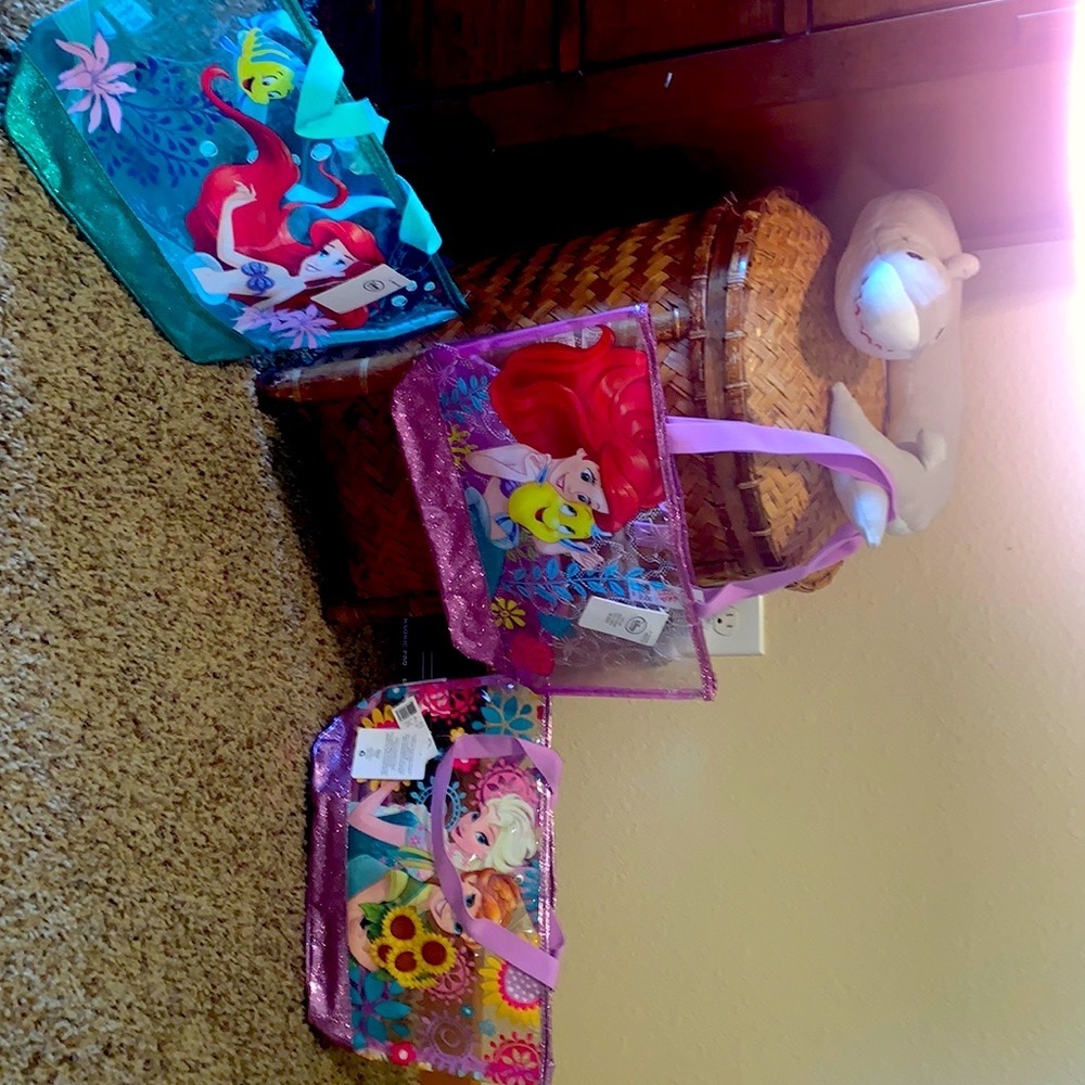 Disney bags